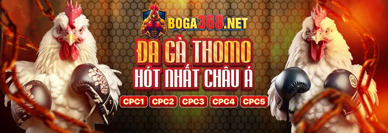 Đá gà trực tuyến sôi động tại af88 top